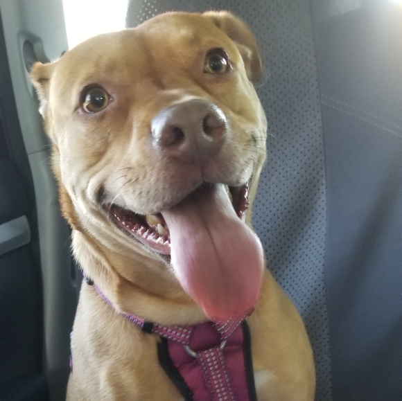 Meet your Posher, Kimberly - Picture 3 of 3